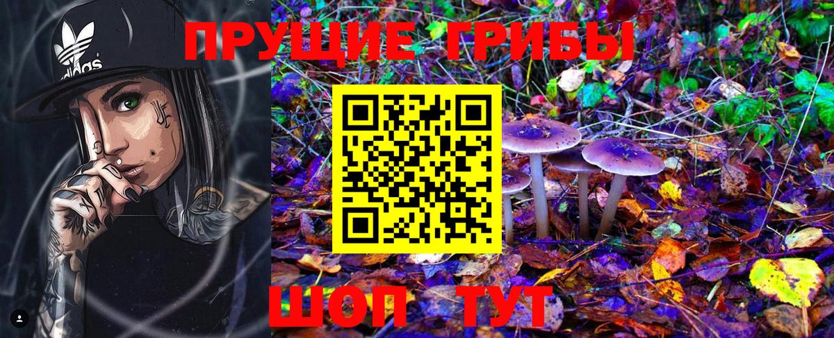Галлюциногенные грибы Cubensis  Вход с VPN  Рубцовск 